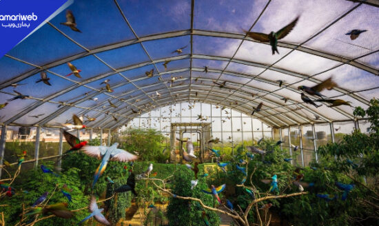 Karachi to Get City’s Largest Bird Aviary — Location & Details