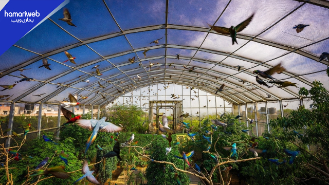 Karachi to Get City’s Largest Bird Aviary — Location & Details