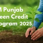 CM Punjab Green Credit Program: How to Apply Online and Earn Rs10,000 for Solar Appliances