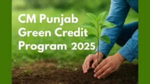 CM Punjab Green Credit Program: How to Apply Online and Earn Rs10,000 for Solar Appliances