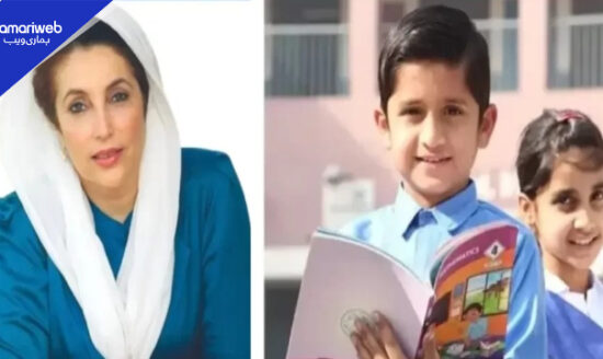 Check Benazir Taleemi Wazaif Online: Use 8171 Portal 2026 for Student Stipends