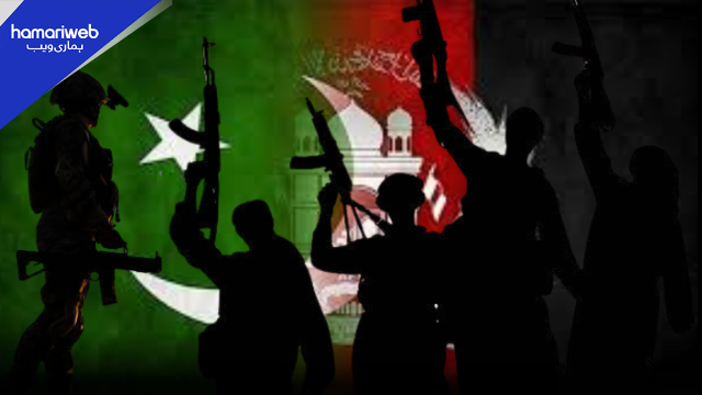 Pak-Afghan War Escalates: 133 Taliban Fighters Killed in Fierce Border Clashes