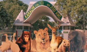 No Entry Fee for Special Children at Karachi Zoo: Mayor Murtaza Wahab’s Inclusive Move