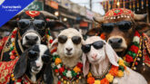 When is Eid ul Adha 2026? Pakistan to Get Midweek 5-Day Holidays