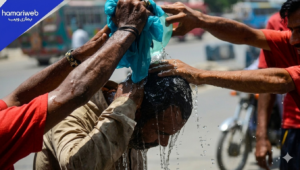 Heatwave Alert Issued for Sindh, Temperatures Expected to Surge Till May 03