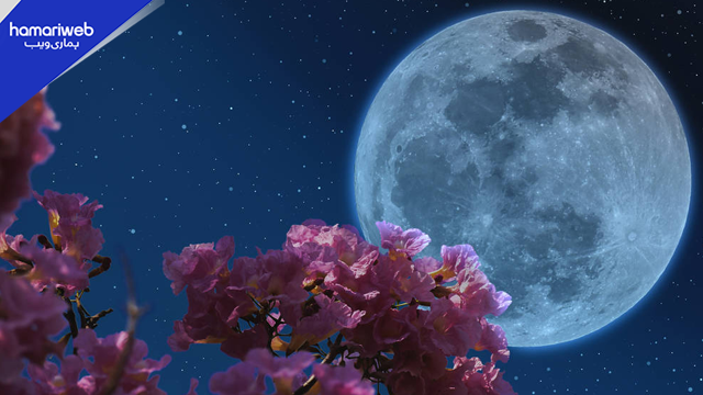 Two Full Moons in May 2026: Rare Flower Moon and Blue Moon Set to Light Up the Sky