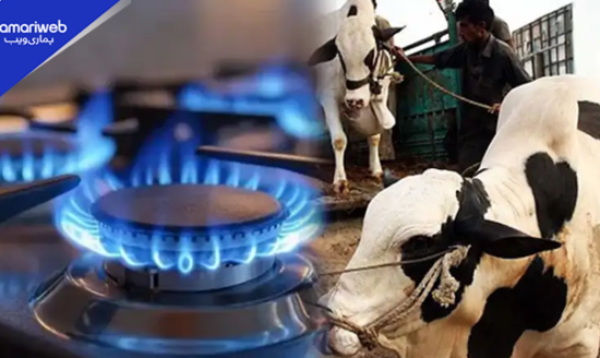 Eid ul Adha Gas Timings 2026: SSGC Announces Temporary Relief