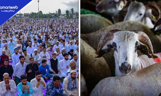 Eid ul Adha 2026 Celebrated Across Pakistan with Sacrifice, Faith and Unity
