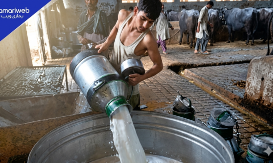 Milk Prices in Karachi Could Rise Sharply as Dairy Farmers Demand Increase