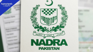 NADRA Announces New Job Opportunities Across Pakistan, Apply Now