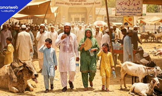 Heatwave on Eid ul Adha: PMD Warns of Temperatures Up to 50°C Across Pakistan