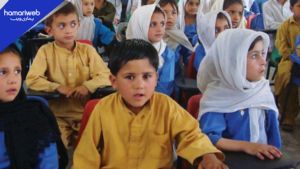 Public Schools in KP to Be Managed by Private Sector to Boost Enrollment and Performance