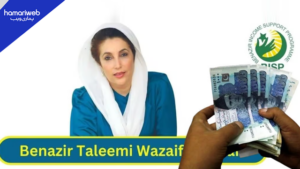 How to Apply for Benazir Taleemi Wazaif Education Stipend in Pakistan