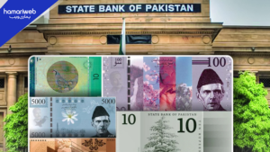 New Currency Notes May Be Delayed, Says Governor State Bank