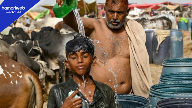 Karachi Heatwave Peaks as ‘Feels Like’ Temperature May Hit 46°C Today