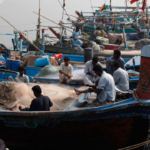 Fishermen Fuel Subsidy Scheme Announced in Sindh: CNIC-Based Registration Made Mandatory