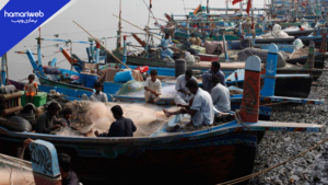 Fishermen Fuel Subsidy Scheme Announced in Sindh: CNIC-Based Registration Made Mandatory