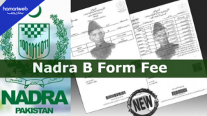How to Apply for Child B-Form in Pakistan: NADRA Step-by-Step Guide 2026