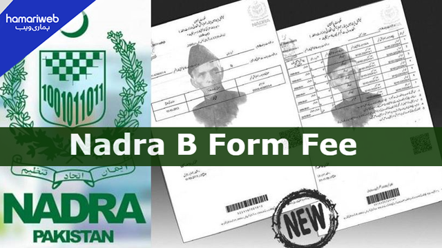 How to Apply for Child B-Form in Pakistan: NADRA Step-by-Step Guide 2026