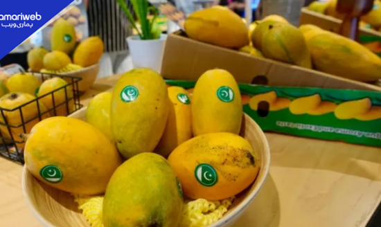 Pakistan Mango Exports Set to Decline by 30,000 Tonnes Due to Middle East war impacts