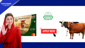 Punjab Launches Free Livestock Scheme for Women Across 13 Districts