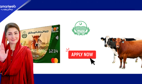 Punjab Launches Free Livestock Scheme for Women Across 13 Districts
