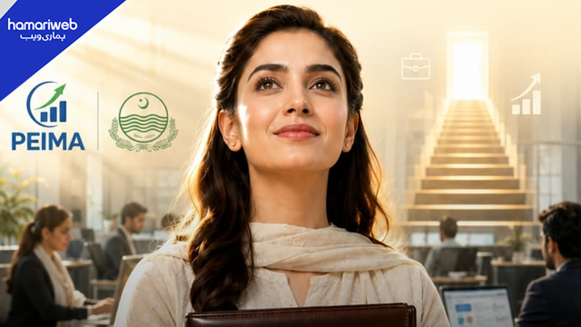 Punjab PEIMA Jobs 2026 Announced: 31 Vacancies With Salaries Up to Rs. 750,000 – Apply Online