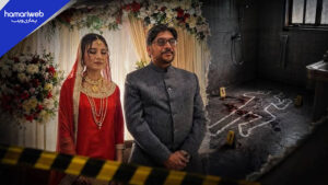 Hina Javed Murder Case: Domestic Worker Confesses Crime, Husband Denies Charges