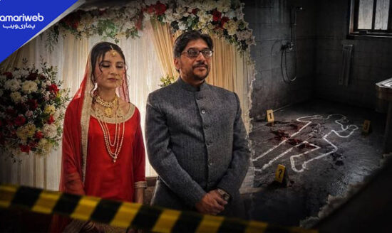 Hina Javed Murder Case: Domestic Worker Confesses Crime, Husband Denies Charges