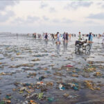Karachi Weather Update: Foul Smell Linked to Decaying Phytoplankton