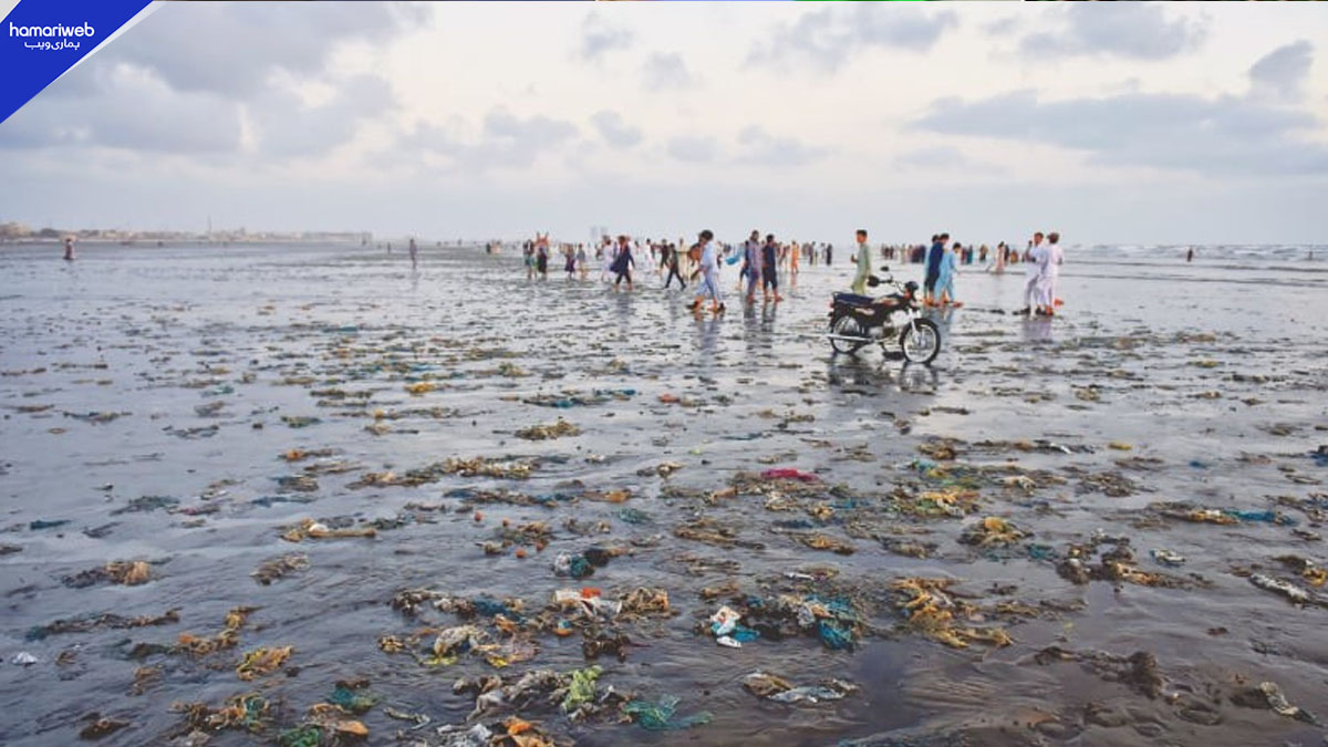 Karachi Weather Update: Foul Smell Linked to Decaying Phytoplankton