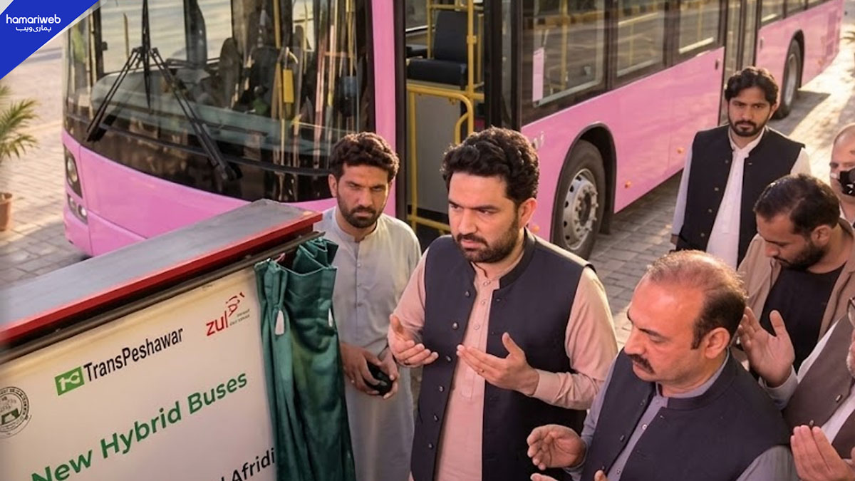 CM Sohail Afridi Launches Pink Bus Service for Women in Peshawar with Lower Fares