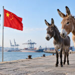 81 Tons of Donkey Products Exported to China in October
