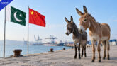 81 Tons of Donkey Products Exported to China in October