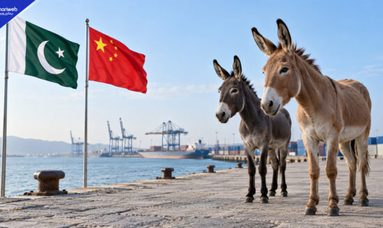 81 Tons of Donkey Products Exported to China in October