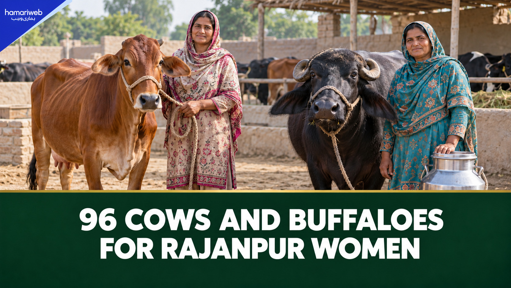 Punjab Gives 96 Cows and Buffaloes to Help Rajanpur Women Earn