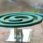 How Dangerous Is Mosquito Coil? New Research Reveals Horrifying Truth