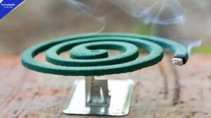 How Dangerous Is Mosquito Coil? New Research Reveals Horrifying Truth