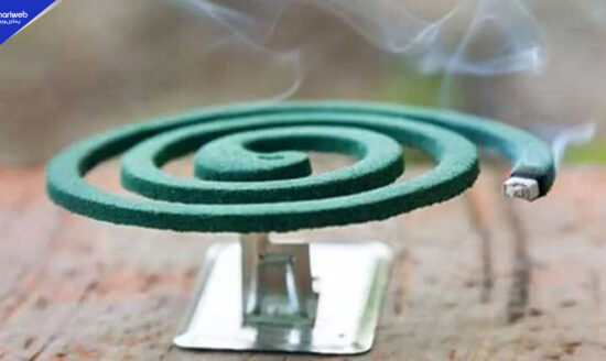 How Dangerous Is Mosquito Coil? New Research Reveals Horrifying Truth